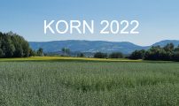Korn 2022
