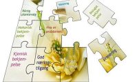 IPV Puslespill explodert
