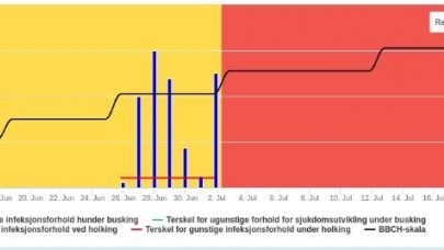 Bladflekkmodellen