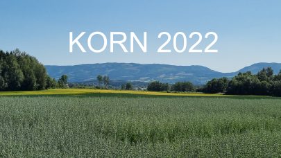 Korn 2022