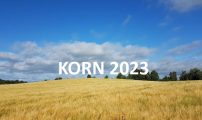 Korn 2023