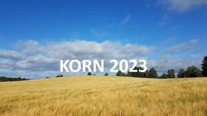 Korn 2023