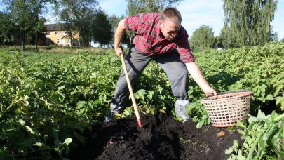 Graveprover Kjetil