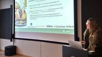 Rådgiver Guro Bukaasen presenterer foreløpige resultater fra bakepotetprosjekt. Foto: Kristin Sørensen