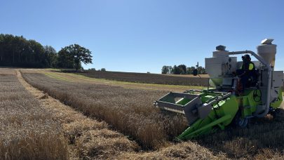 Tittelbilde Tresking Verdiproving hosthvete Osaker 12 08 25