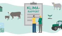 Klimakampanje herobilde