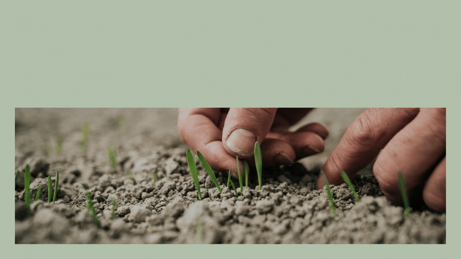 For deg din gard og det du dyrker GIF