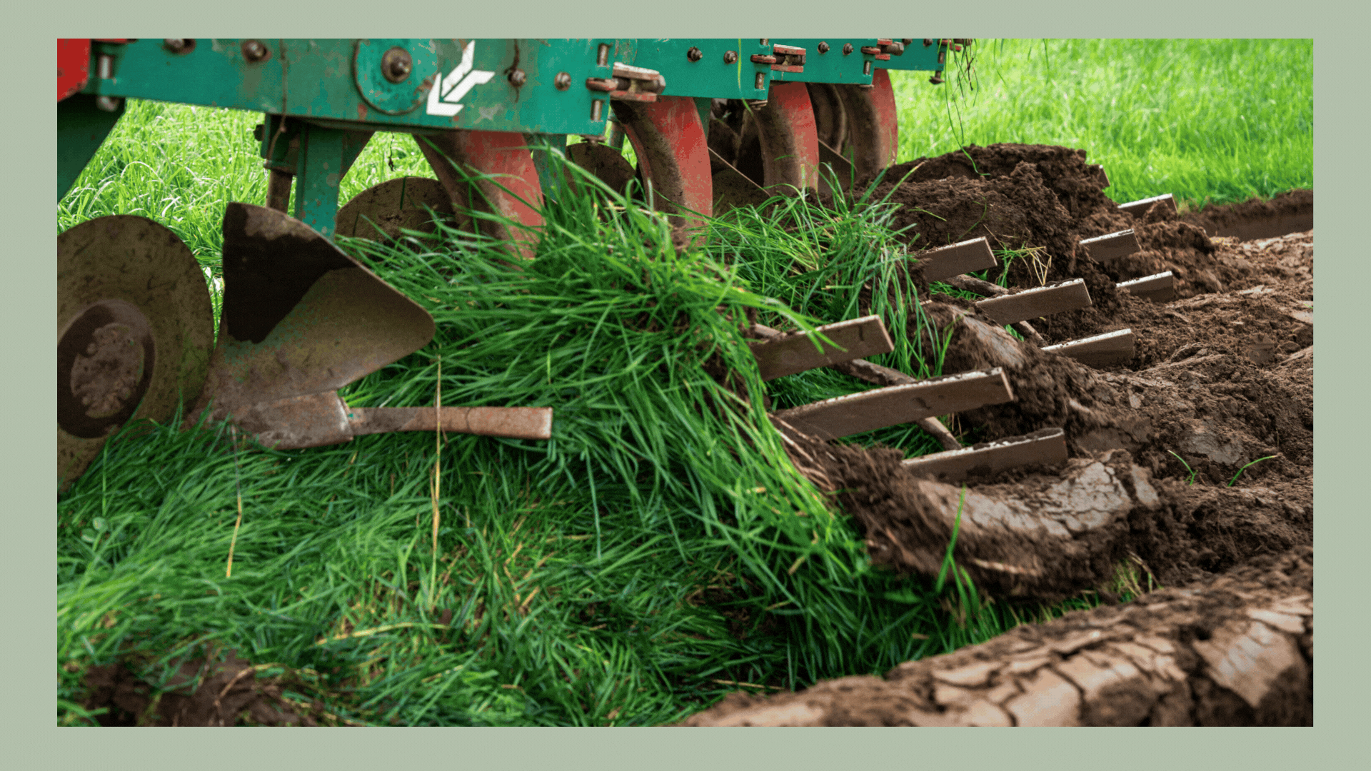 Kopi av FB Ployinar K2 1