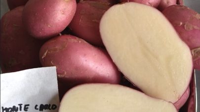 Skjermbilde 2024 03 06 kl 12 35 19