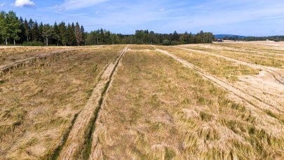 Legde bygg drone Morten Livenengen