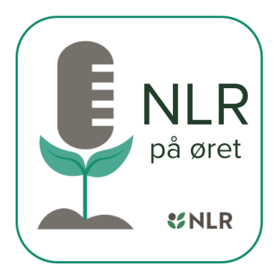 Nlr pa oret 1