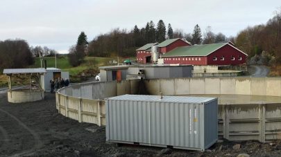 NLR Bioenergi