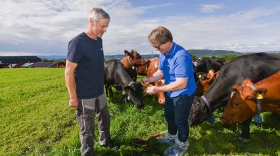 NLR bedre grovfor NLR Innlandet