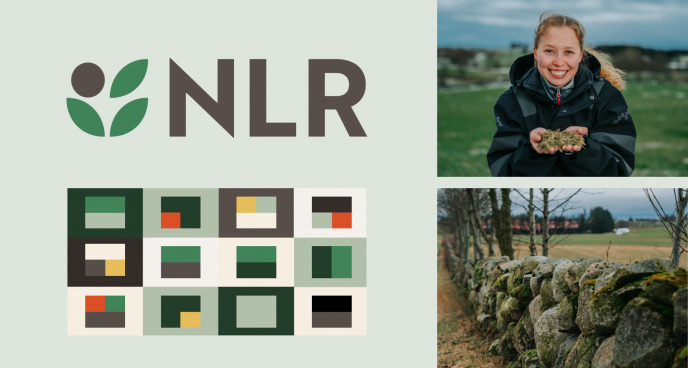 NLR ny visuell profil