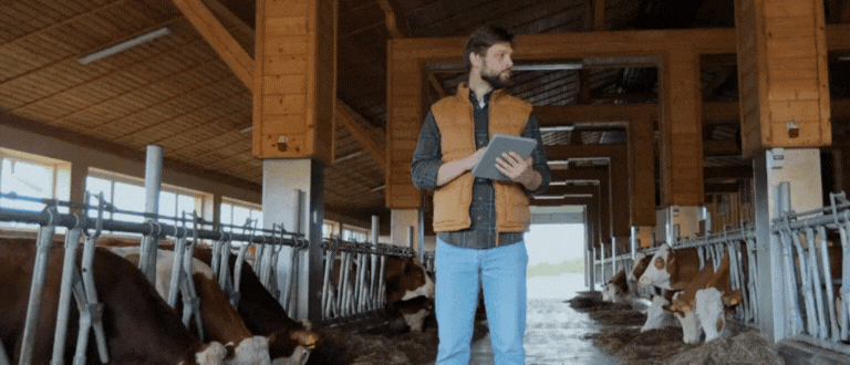 Bygg GIF 5 1