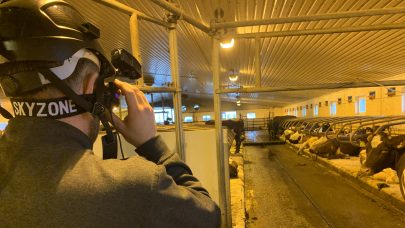 Når rådgiver i NLR skal planlegge fjøs, tar hen på VR-briller for å oppleve hvordan dyrene ser bygningen.  / FOTO: Silke Hansen  FOTO: Silke Hansen