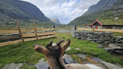 Kveldsroa har lagt seg over stølen i Rausmesdalen. Foto: Lena Abel