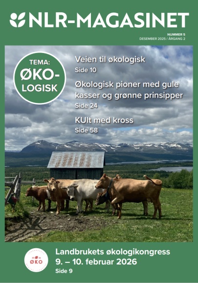 Skjermbilde 2025 11 24 145753