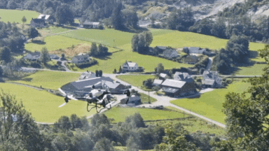 Drone sproyte