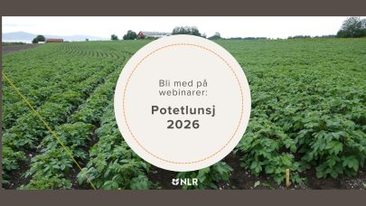 Forside potetlunsj