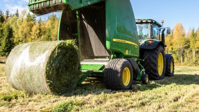 Grasslått Foto: M. Livenengen