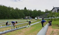 Okobringebaer 11 06 2020 nr 2 AV