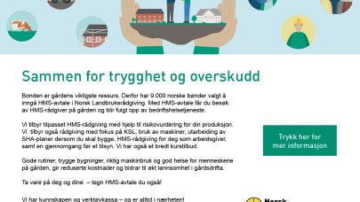 Annonse HMS kampanjen nynorsk