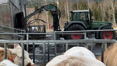 Omroring uten dyr i fjoset Foto Ingrid Terum
