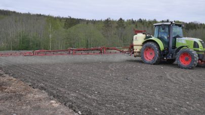 Sproyting John Ingar Overland