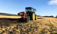 IMG 7918 2