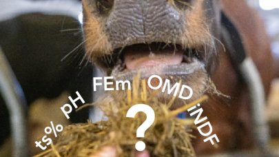 Skjermbilde 2021 10 05 kl 11 15 30