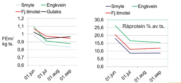 NIBIO fjellbeitekvalitet