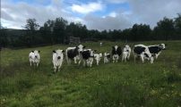 Skjermbilde 2022 07 15 kl 10 44 32