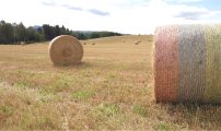 Skjermbilde 2022 08 24 kl 12 16 10