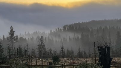IMG 0218