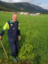 Bilde 2 blandinger i vanlig eller mer intensivt slattesystem