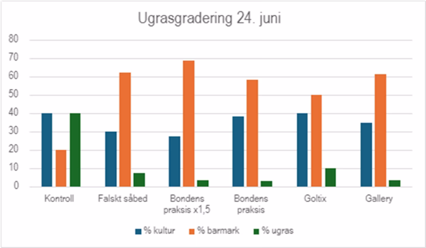 Bilde1453