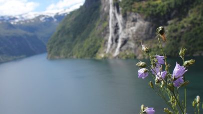 IMG 7458