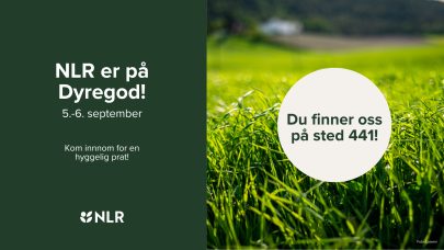 NLR er pa Dyregod 1