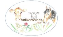 Vallkonferens