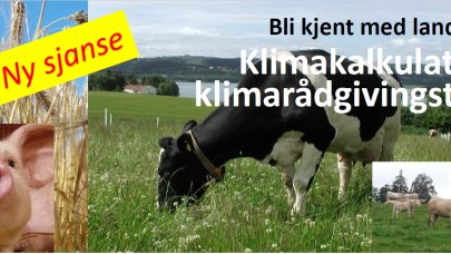 Klimakalkulator