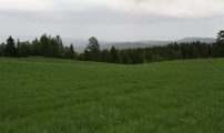 Nlr 42834130615