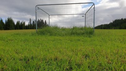 Konfluktdempende tiltak hjort 3