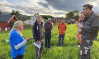 Markdag fersk fjellbonde 2024 Torhld Svisdal Mjoen informerer om grasartene vare