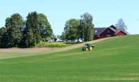 Anpassa kvavegodslingen 1 Foto Asmund Langeland