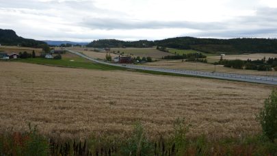 Kornsesongen 2020 i Trondelag B