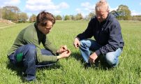 Pa sporejakt test