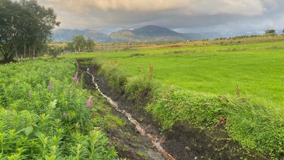 Groft Nord Norge foto SJM