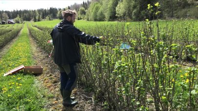 Skann fra 2021 05 21 01 08 42 PM