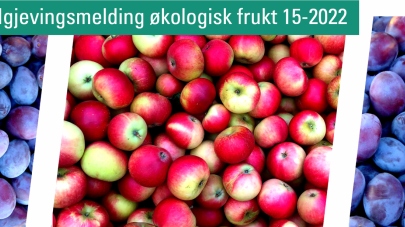 Okofrukt nyhetsbrev